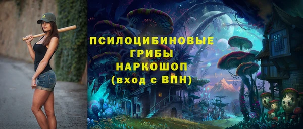 apvp Киреевск