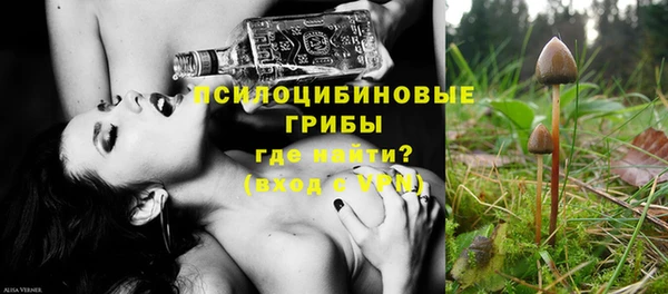 apvp Киреевск
