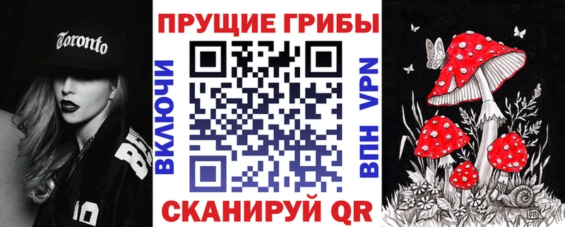 Купить где Артёмовский Галлюциногенные грибы Cubensis